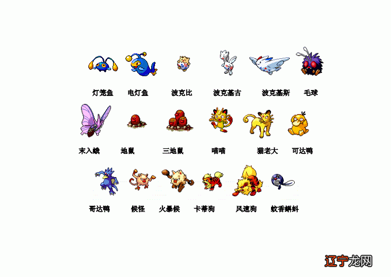 神奇 宝贝中的美女_开心宝贝之神奇实验室_神奇宝贝