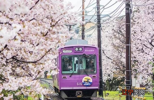 为什么女人都喜欢长一点的呢_为什么我只讨男人喜欢不讨女人喜欢_男人应该喜欢时间吧 女人也应该喜欢时间吧