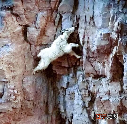 坚持365天练瑜伽是一种怎样的体验?