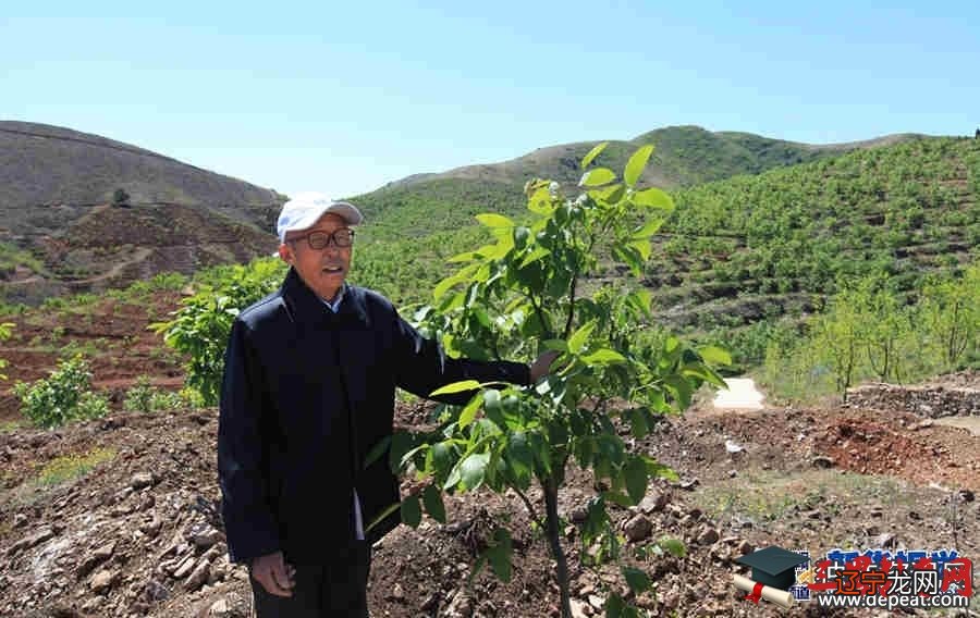 广西民办教师补助政策,民办代课教师补助政策条例全文