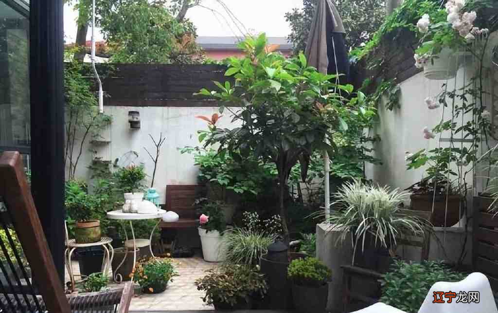 如果只剩下1楼和顶楼,你会选哪个?过来人告诉你真实感受