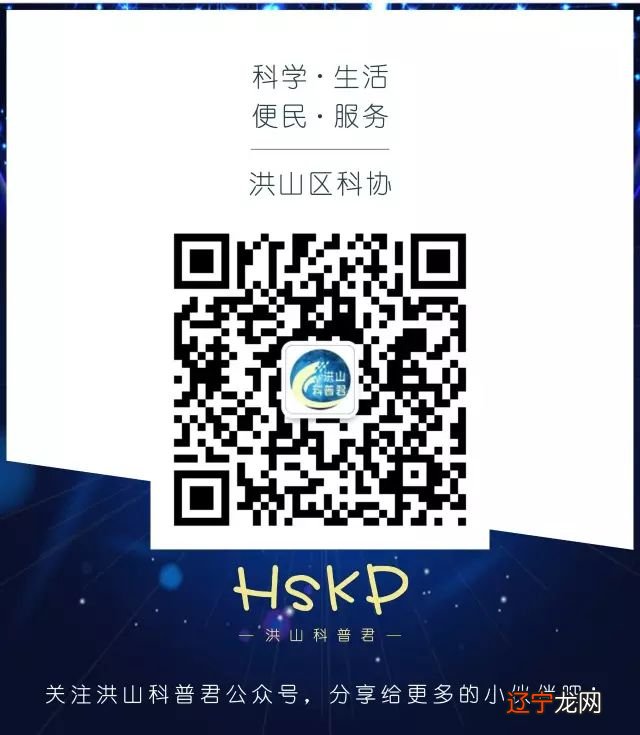 科普 | 为什么汽车的车牌是五位数?真没你想的那么简单