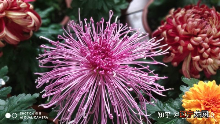 情人节快乐的英文_光棍节快乐 英文_情人快乐