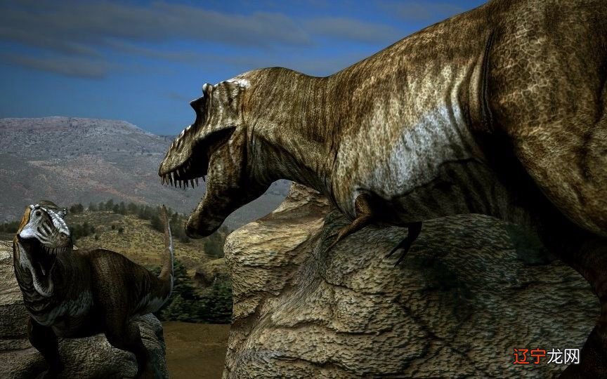 蓝猫淘气:霸王龙和暴龙的几次经典对决,这就能看出,谁才是王者