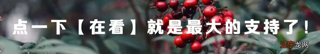 小高考顺序_高考英语的答题顺序_高考顺序