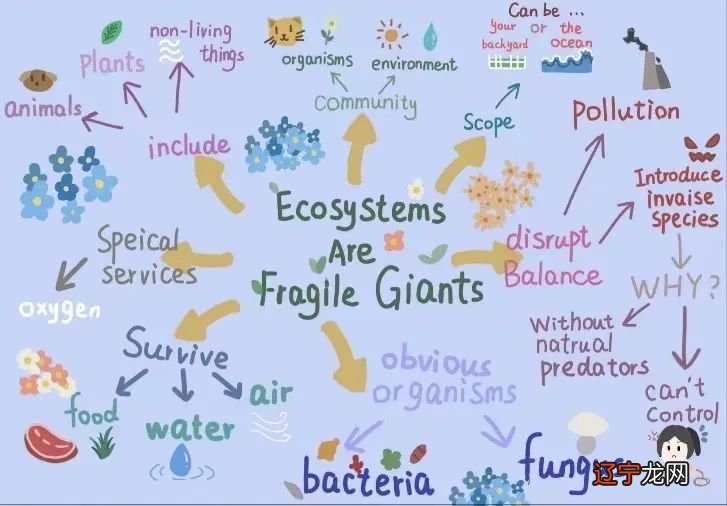 孩子英语跟不上,家长只能干着急!本周六常熟家长终于迎来…