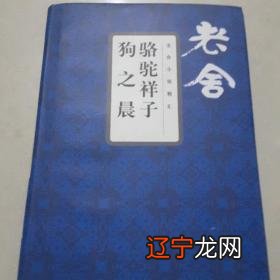 老无所依》中的狗是谁?