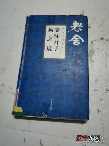 老无所依》中的狗是谁?