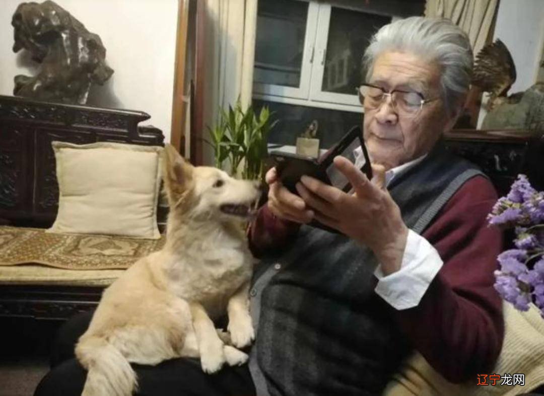 老无所依》中的狗是谁?