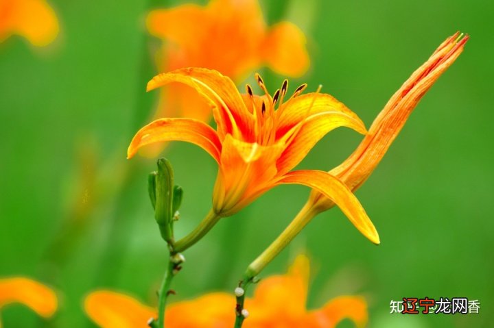 贺卡 母亲节祝福语文案，适合发朋友圈感谢妈妈的话