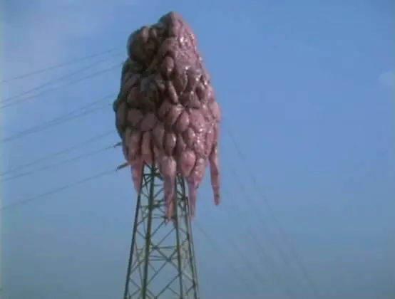 哥斯拉有几部_新哥斯拉2016有资源吗_哥斯拉大战机械哥斯拉 1080p