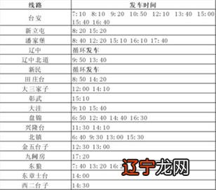 沈阳客运站订票网址多少钱,沈阳长途汽车票查询