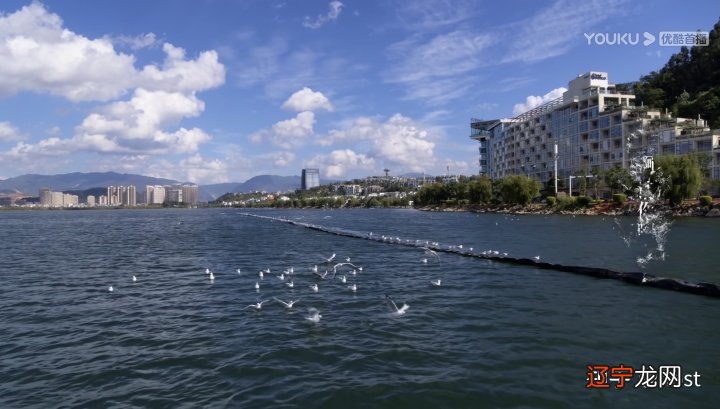 跟着《司藤》游大理取景地