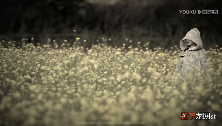 跟着《司藤》游大理取景地