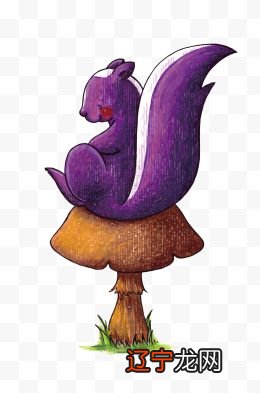 马拉巴尔巨松鼠,一种神话般存在的生物