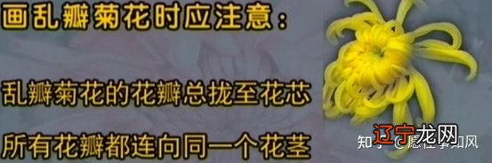 大家知道画梅兰竹菊的时候有什么忌讳吗,今天闪创教育就来给大家说一说