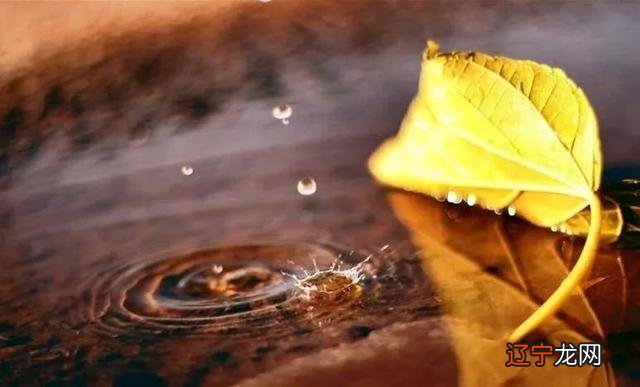 生活的累大多来自比