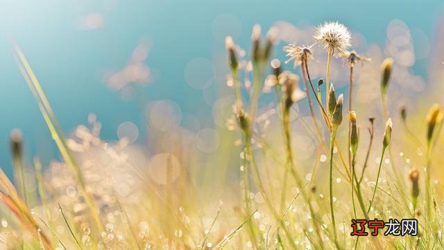 生活的累大多来自比