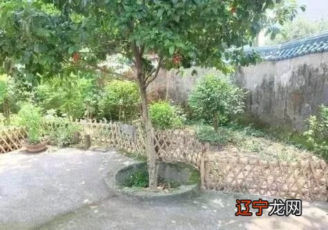 为什么有时候算命会准得吓人?