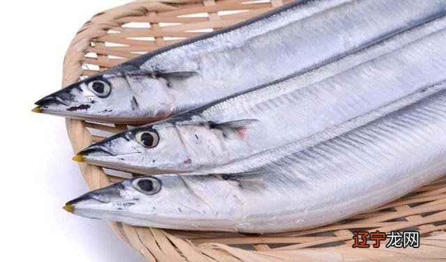 一样是带鱼，价格为什么相差好几倍？今天告诉你，到底差在哪里