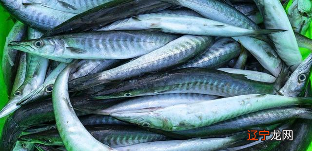 一样是带鱼，价格为什么相差好几倍？今天告诉你，到底差在哪里