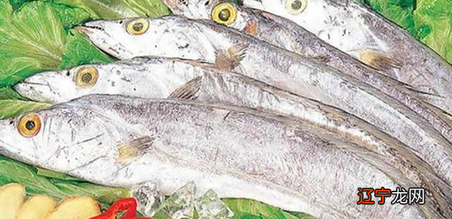 一样是带鱼，价格为什么相差好几倍？今天告诉你，到底差在哪里