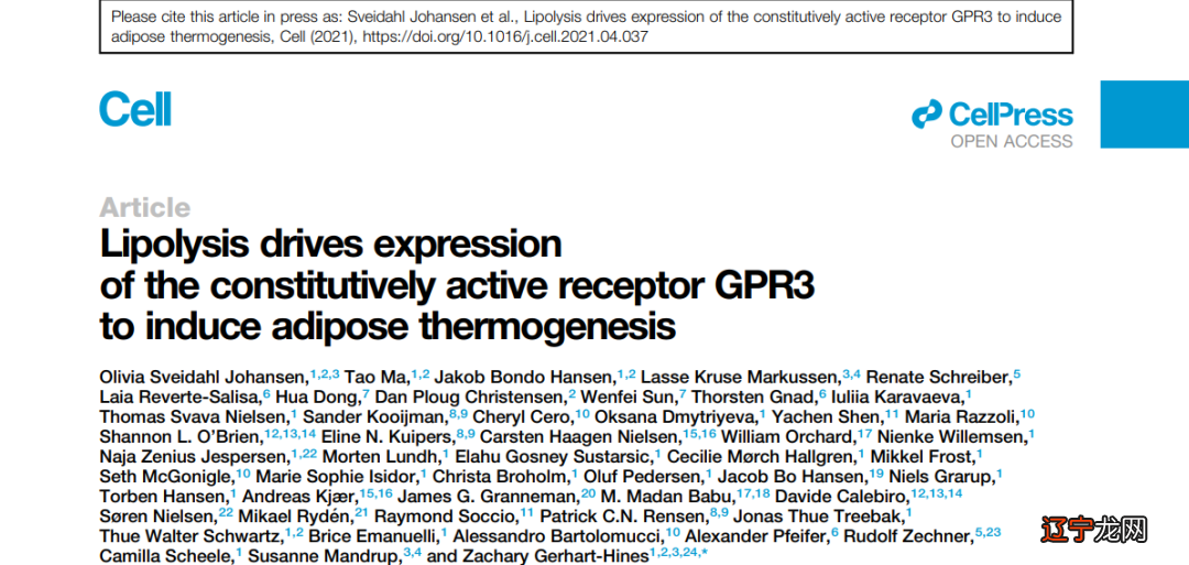脂肪燃烧膏_燃烧脂肪靶点被发现_脂肪燃烧时间