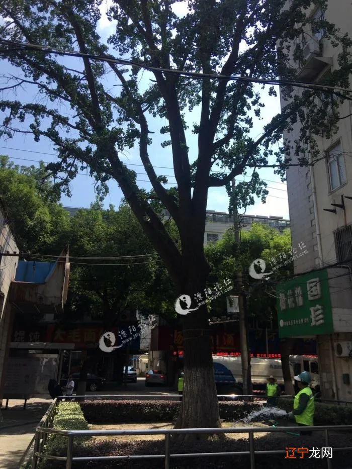 恭喜溧阳南山后村◇由1941年的结婚证照想起的...◇溧阳街头老手艺人!