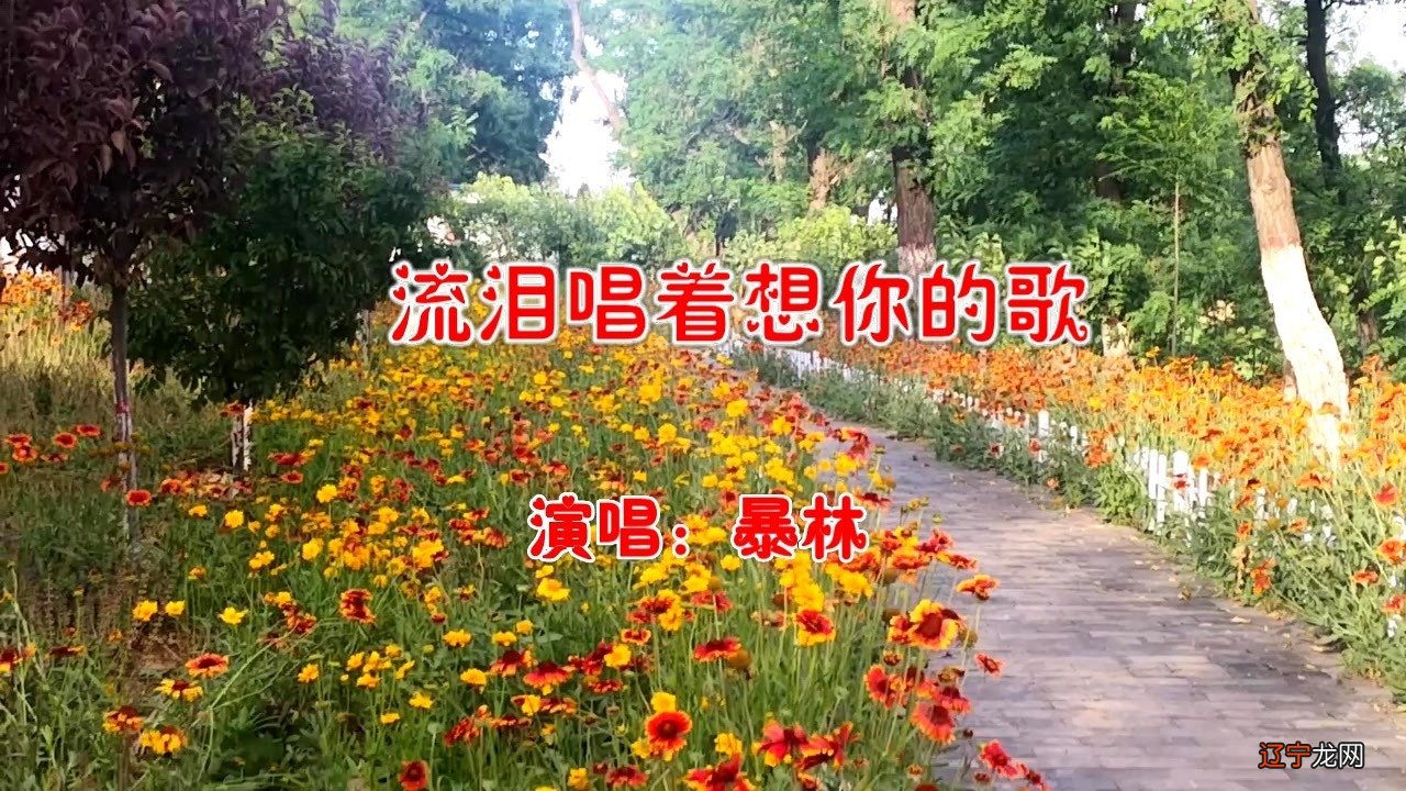 一句表达忧伤的句子,句句看了心疼