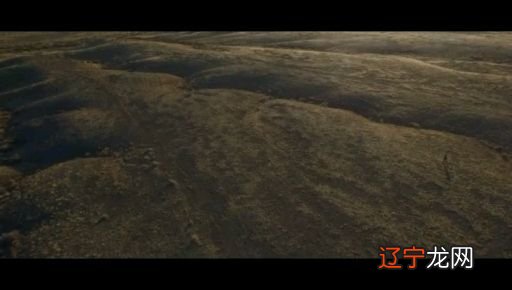 推荐几首被抖音带火的好听的歌曲