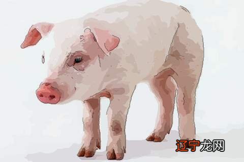 属马的今年多大2014_属猪的今年多大_属鼠的今年多大