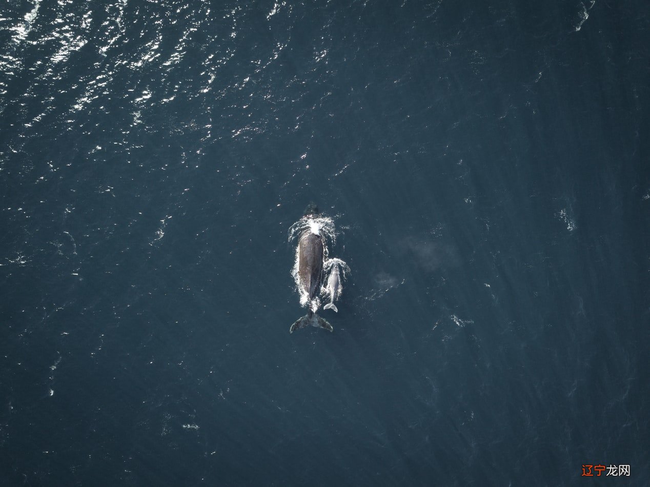 自然堂化妆品怎么样补水还是美白效果好(自然堂化妆品的效果好吗)