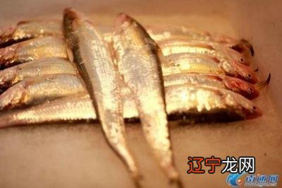 【长江刀鱼价格疯涨】每斤竟高达4000元 揭秘长江刀鱼为什么这么贵?