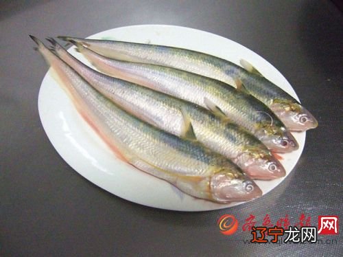 【长江刀鱼价格疯涨】每斤竟高达4000元 揭秘长江刀鱼为什么这么贵?