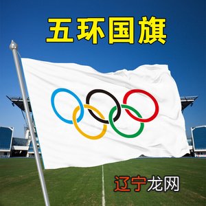 奥运五环的意义_奥运五环的颜色_奥运五环代表什么意义