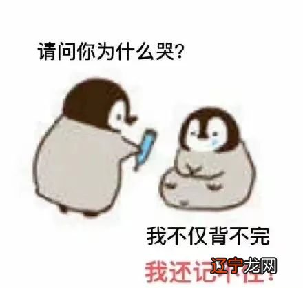 英语教学,我们一直在路上