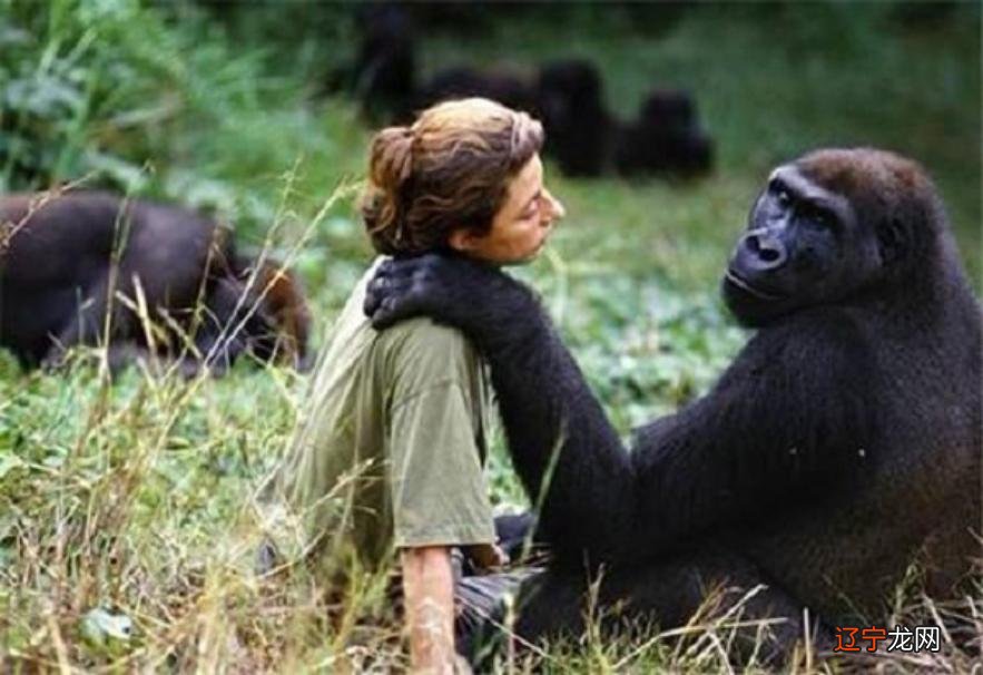 人与哪些动物有过交配_人可以和什么动物交配_动物交配 斑马 动物交配视频