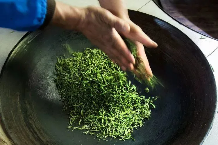 安徽四大名茶入选人类非遗代表作名录