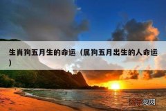属狗五月出生的人命运 生肖狗五月生的命运