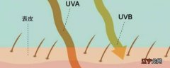 uvb是什么意思啊