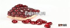 石榴籽有毒吗