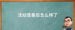 沈幼楚最后怎么样了
