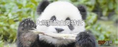 大熊猫的主要特征