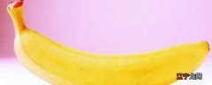 香蕉是植物的果实吗