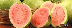 guava是什么水果