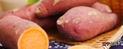 红薯和地瓜是一样东西吗