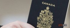 海外护照是什么意思
